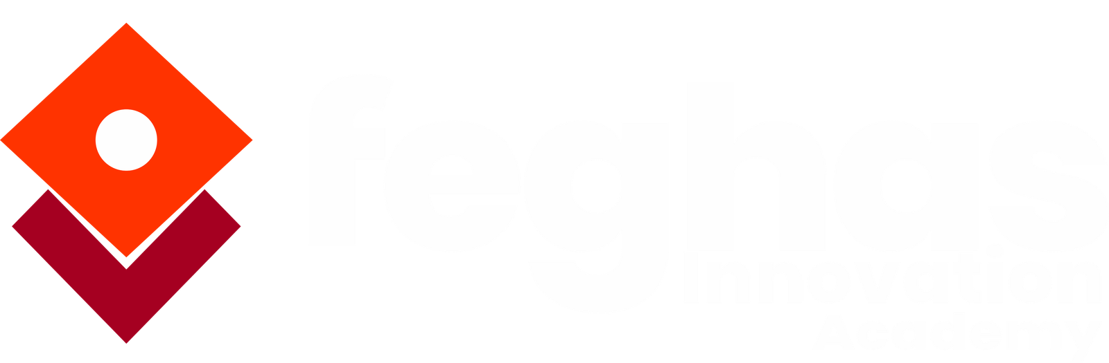 feghasacademylogo